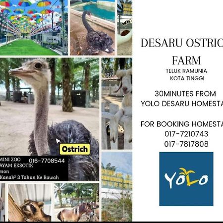 Bandar Penawar Desaru Homestay-Eva Villa Pool Homestay By Yolo Resort מראה חיצוני תמונה